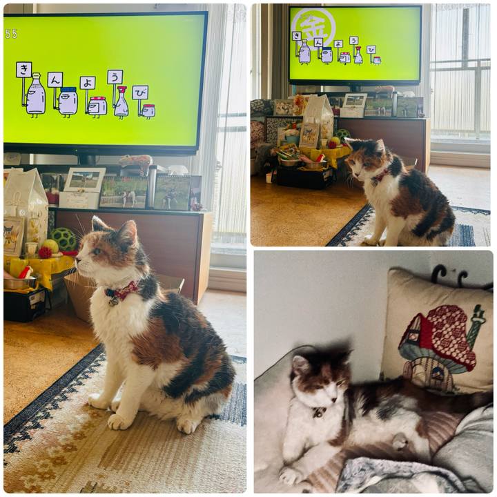 80364b38 5125 4be0 a0d8 94e6ee5c221a 1726784117728