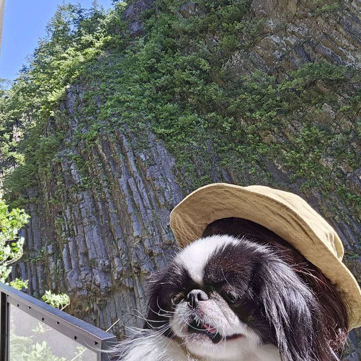 80365542 8163 4498 8644 6853fac3eed6 1716366537408