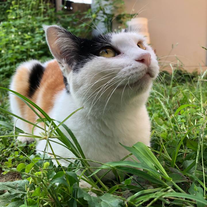 80367dd7 b910 44bc 9c83 a69d554c7d8b 1598911981612