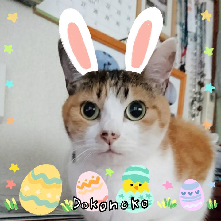 8036a868 e7ae 4a5f a5b7 da532ee25c80 1712231855643