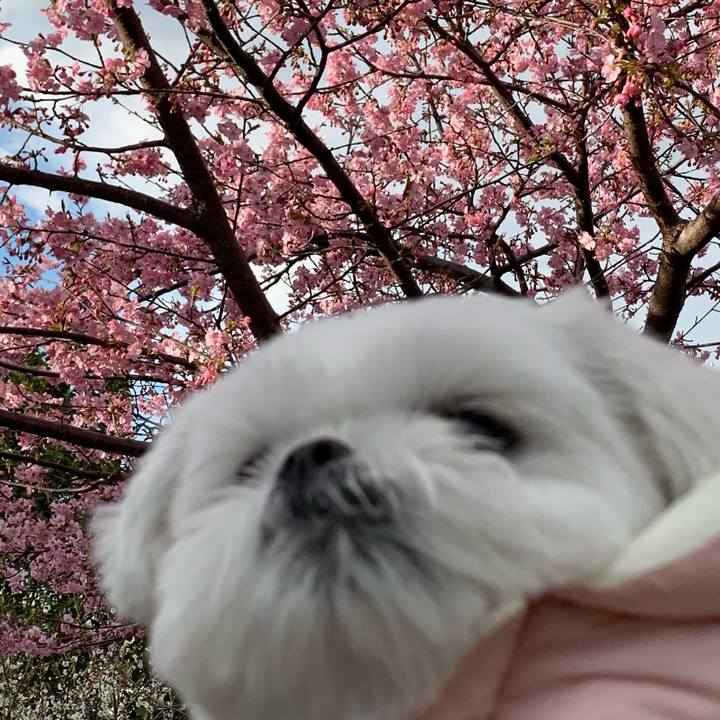 8036b555 ec9c 431f 962a 006ad5eeea36 1646564143561