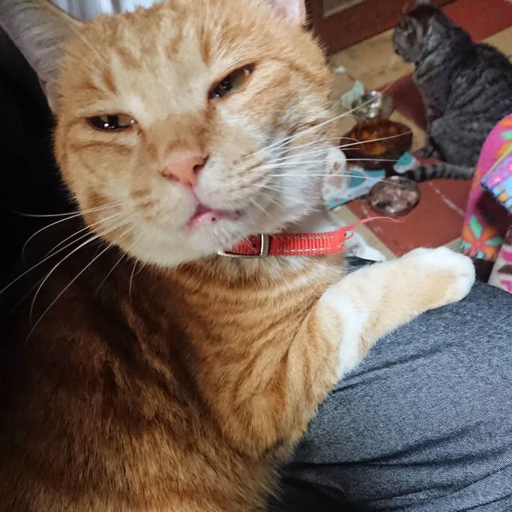 8036b93b d72e 43da 9cce 1124722f6b22 1574759012012