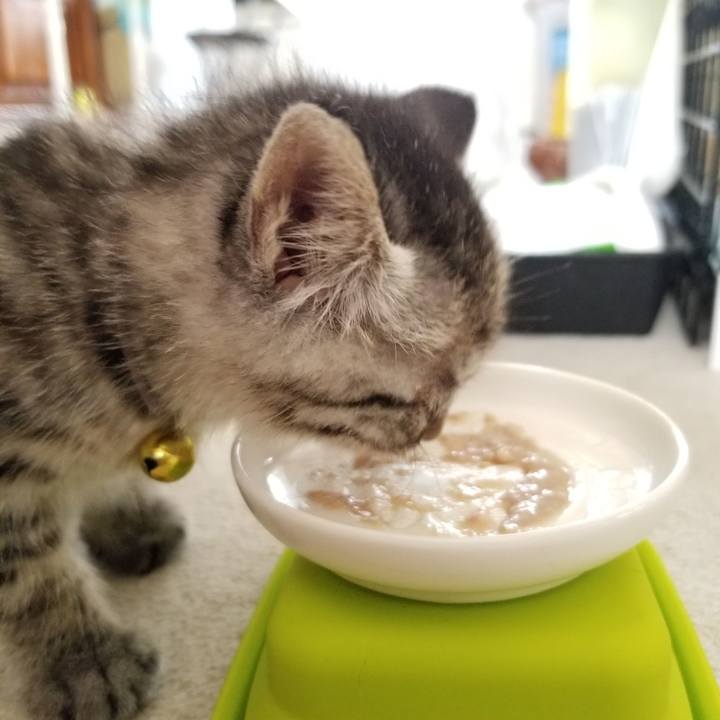 8036cf6c 7970 4605 9e23 207e02496b64 1661490584176