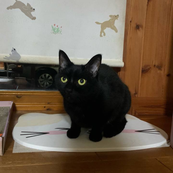 8036e984 652a 4cbc ac03 eb8ba2798338 1626534770341