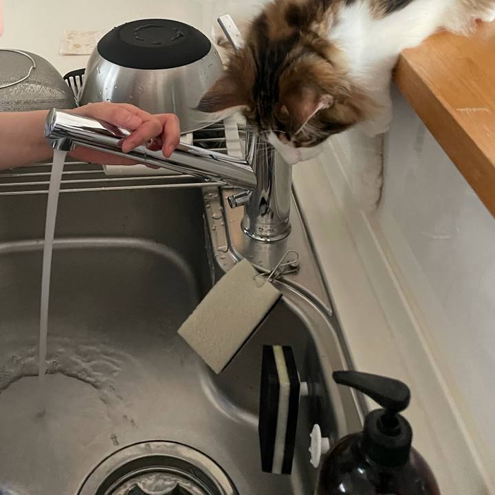 8036ec00 9775 4ef1 a619 ccf639c0edc7 1635458072976