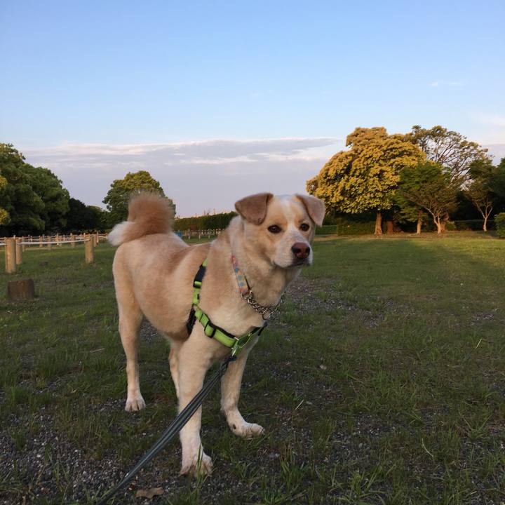 80370afe 3f34 4954 84a3 874ba66f1038 1525078831959