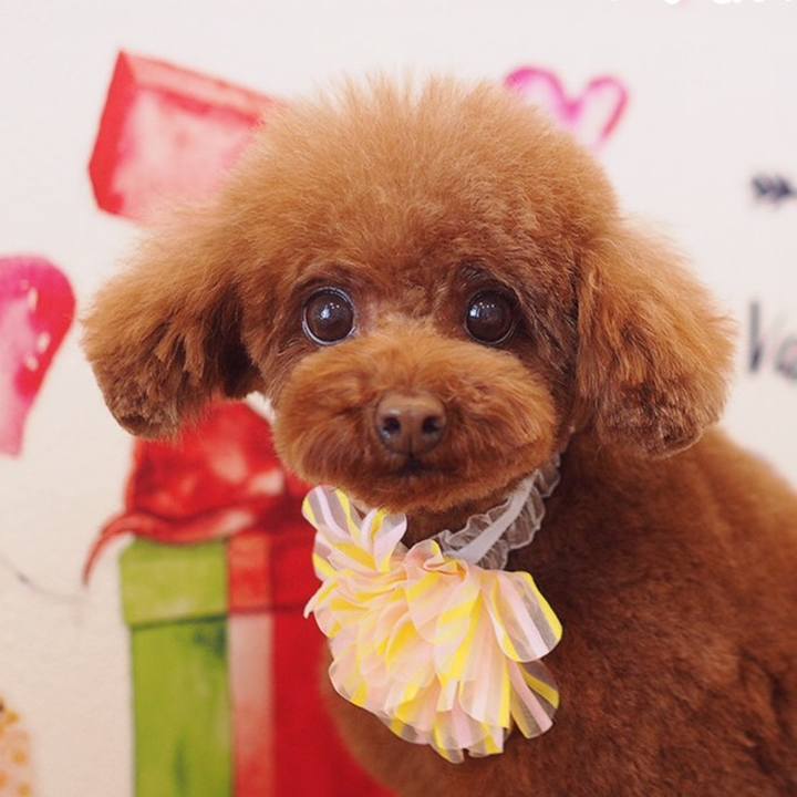 8037194d 12f1 4ed5 abc7 a77572a59b5c 1550102732459