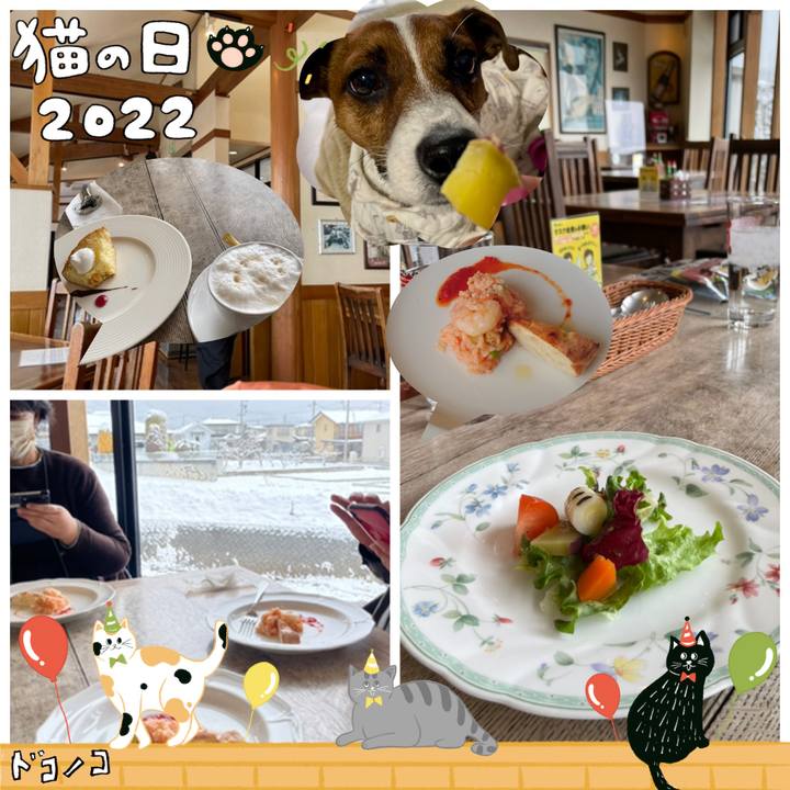 80375b85 af67 47b6 9702 8e8e372da7f4 1645514754575