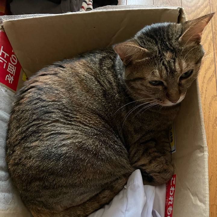 80376dd0 af2d 4a7e afd1 4a46e1932109 1699782893993