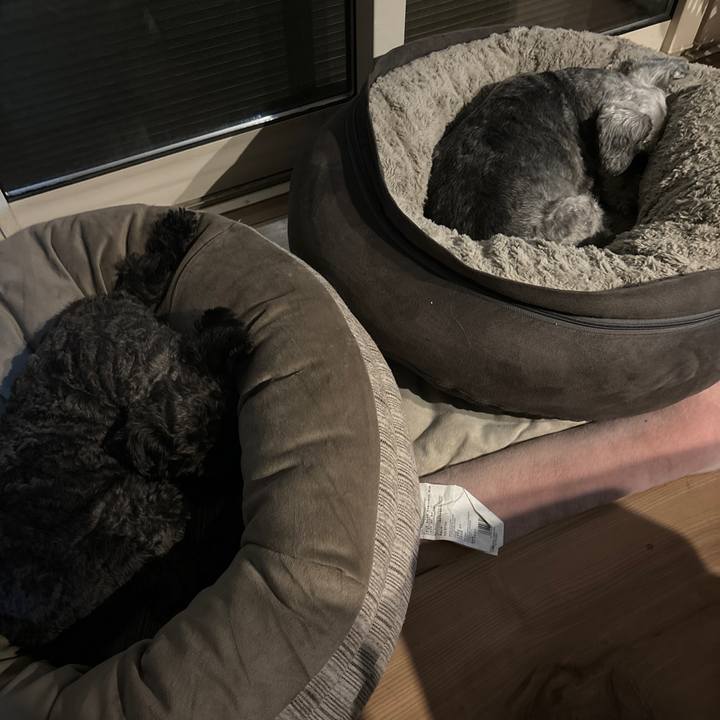 803774d3 9d9c 48d4 a301 4854970da2a5 1709208599469