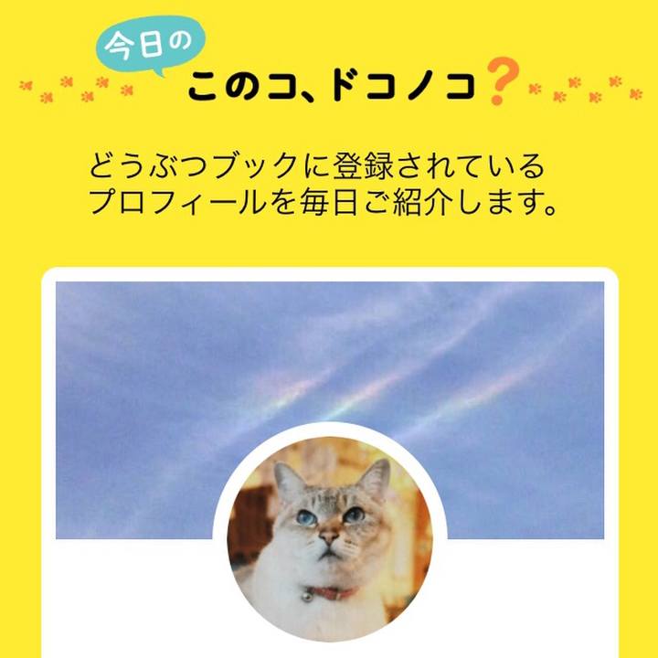 803794af 9c8e 420b 94c6 1d4f43b60a69 1527127963407