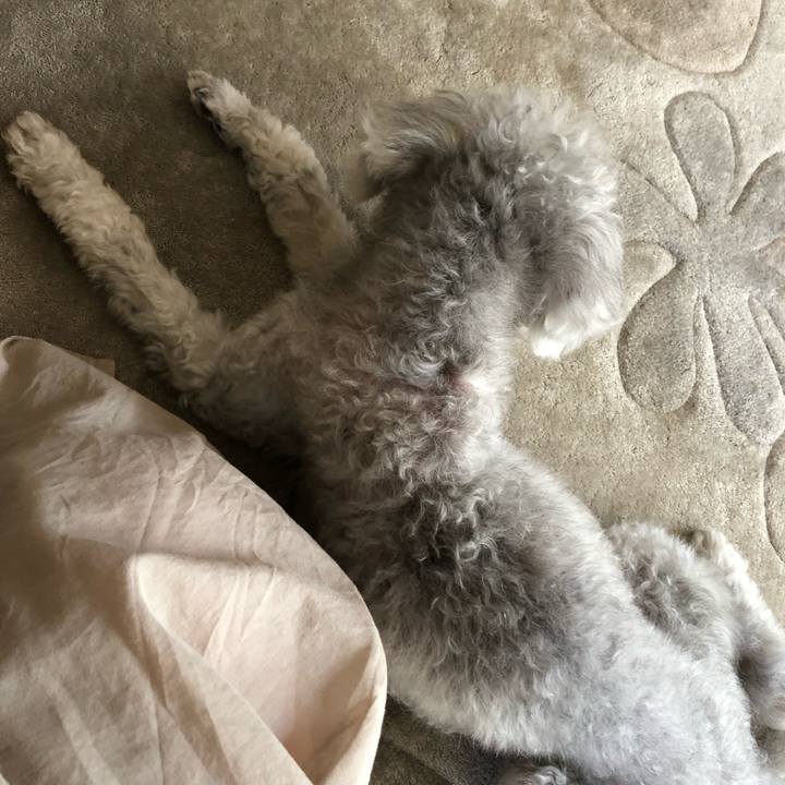 8037af39 2585 4533 8b14 e023fded1b95 1624233584050