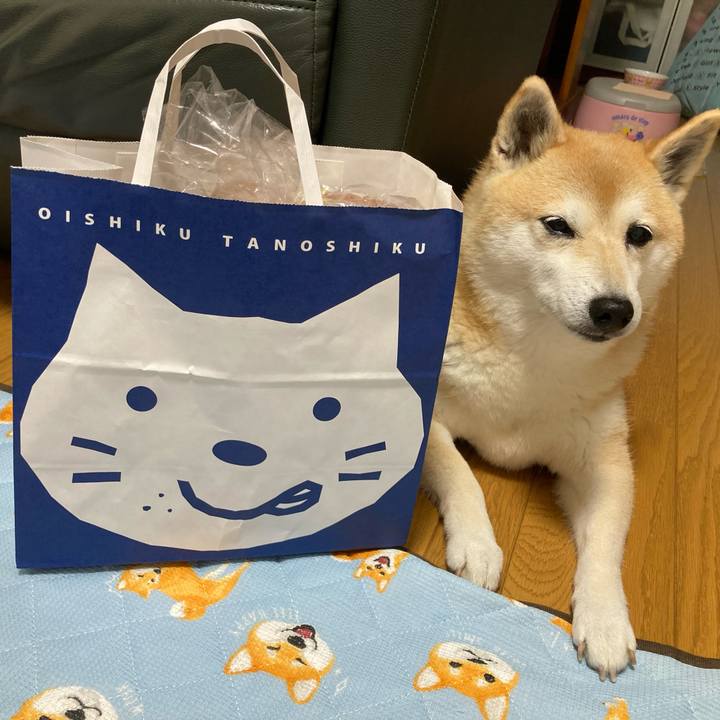 803823c6 66c6 4beb 8d19 f964446b621f 1627722666756