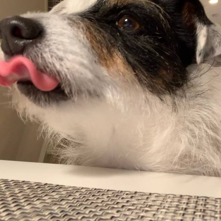 80385222 013a 487d a568 8ce12b3cc2a6 1618570693640