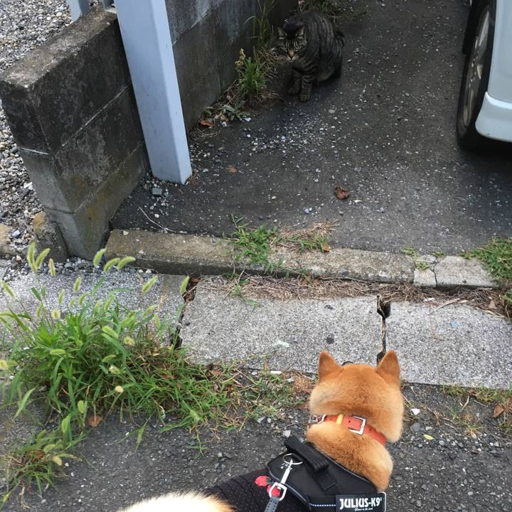 80385fa8 7b91 4393 a7de ea81f691bdc2 1613217104862