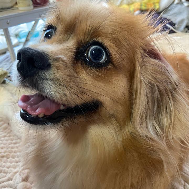 80386085 85ad 4fa4 958b 5dd521abf458 1596749162529