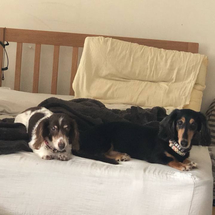 80388994 d8b9 471f a978 d1e800bbb0b9 1567645809990