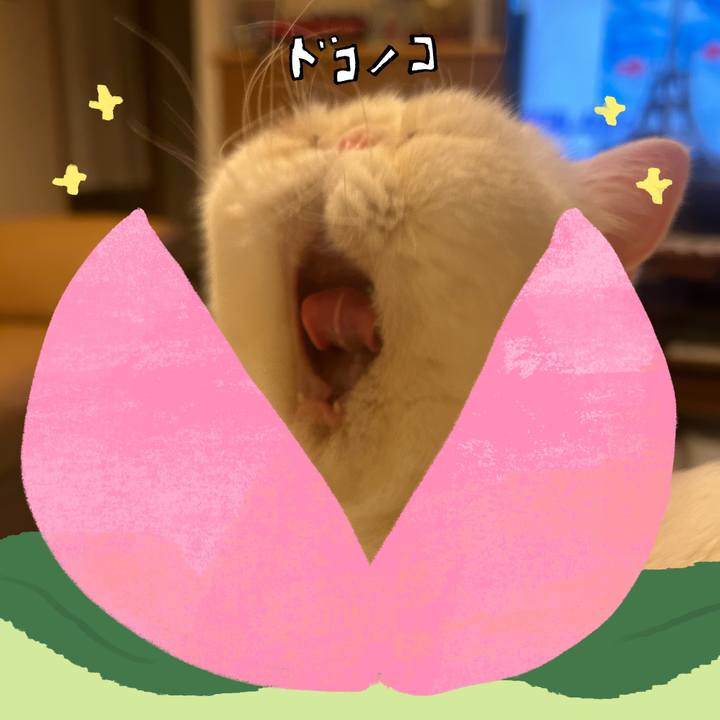 80388d24 b032 4daf 95bc e6a4f9028e57 1772191294307