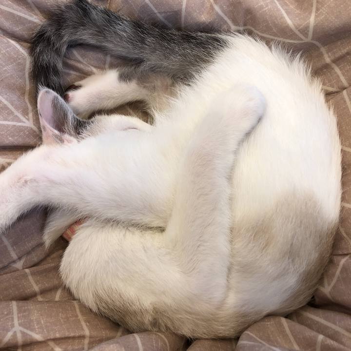 80389443 7eb0 4710 83ff 90b5a08786ea 1542871718179