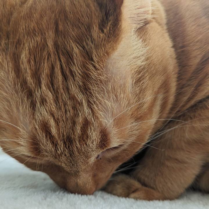 8038b139 f765 4e4c 9921 6291fc0fd843 1704002558940