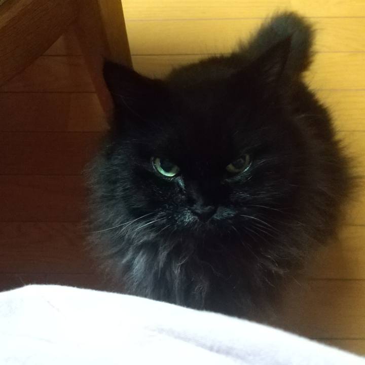 80390740 f915 4047 a49b 254a8b97fc27 1694173319660