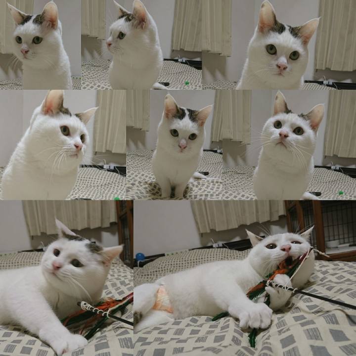 80391699 6d06 4fcb 8961 22d818584caf 1509585747802