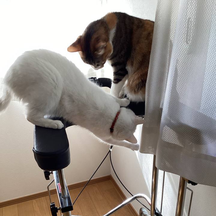 80394fea 97df 468f b550 18b99c6bd28b 1678325353759