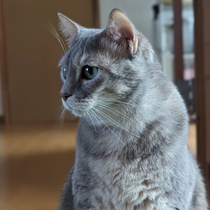 80396df1 d7af 4ab6 beff 80c9a7e9009b 1707882219135