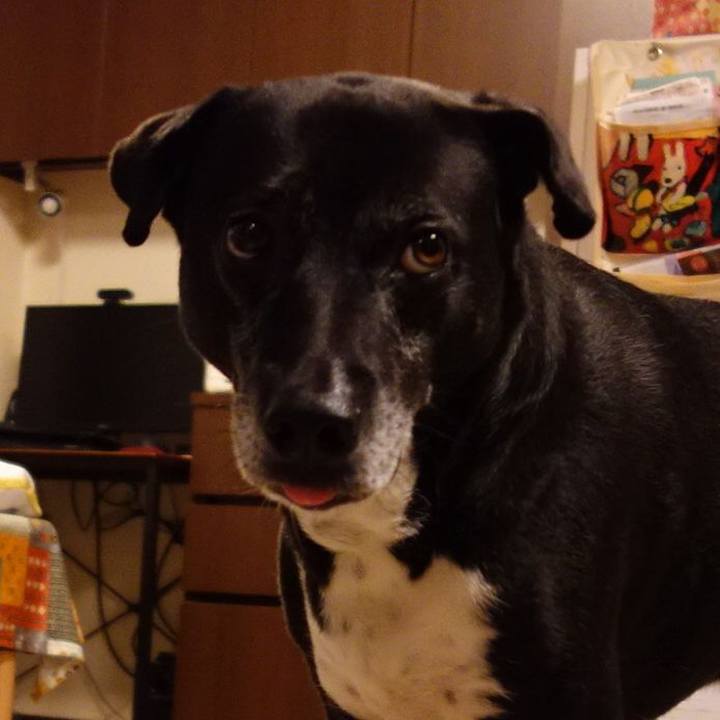 80397b3f 07e6 4c95 a80b 68c95e099bcd 1749640122344