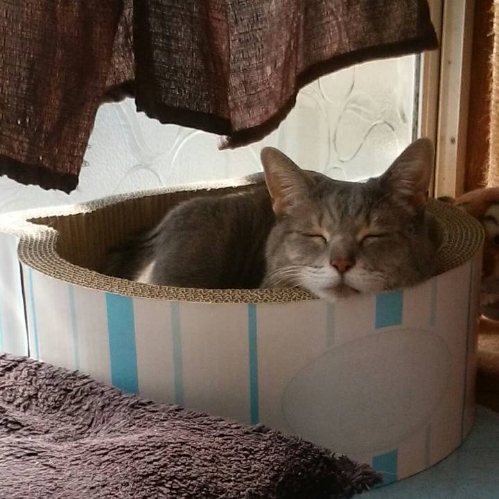 8039ae03 1952 4e4e 8435 6d358a21e586 1583025162088