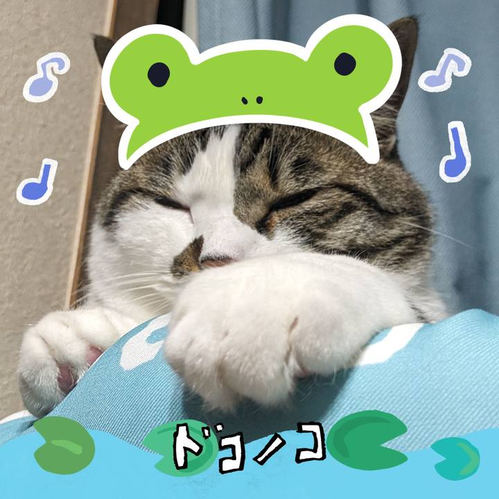 8039b023 ec6a 4f1c b6d6 4ea9c1ddb4c8 1717639251293