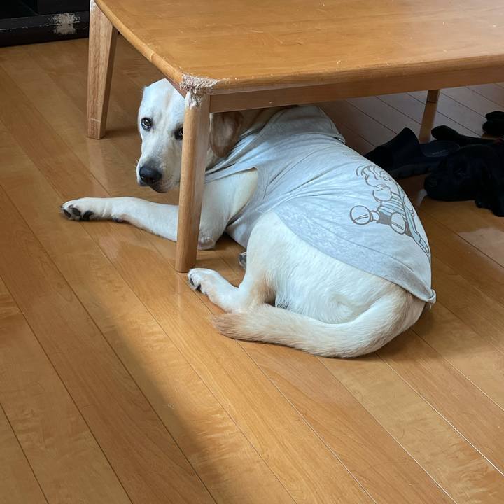 8039e1bb 995f 49f9 bfbf a83bde47eac7 1632370066985