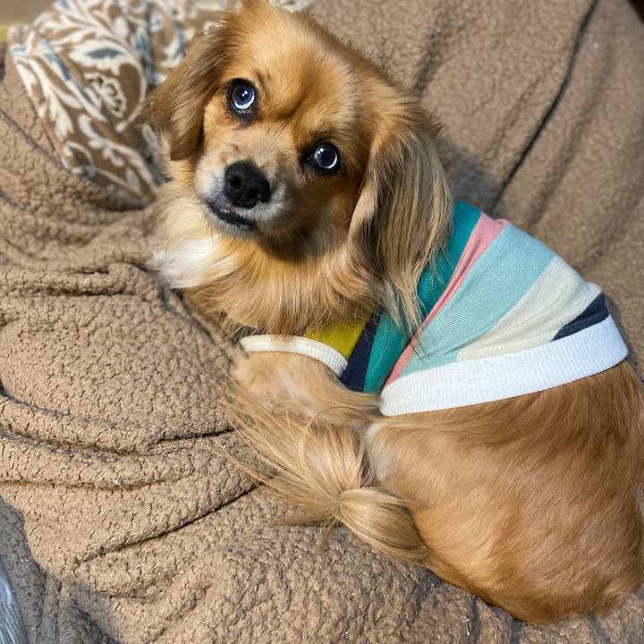 8039ee2f 2c9e 4bf2 b096 d152fb76a4c1 1576272188507