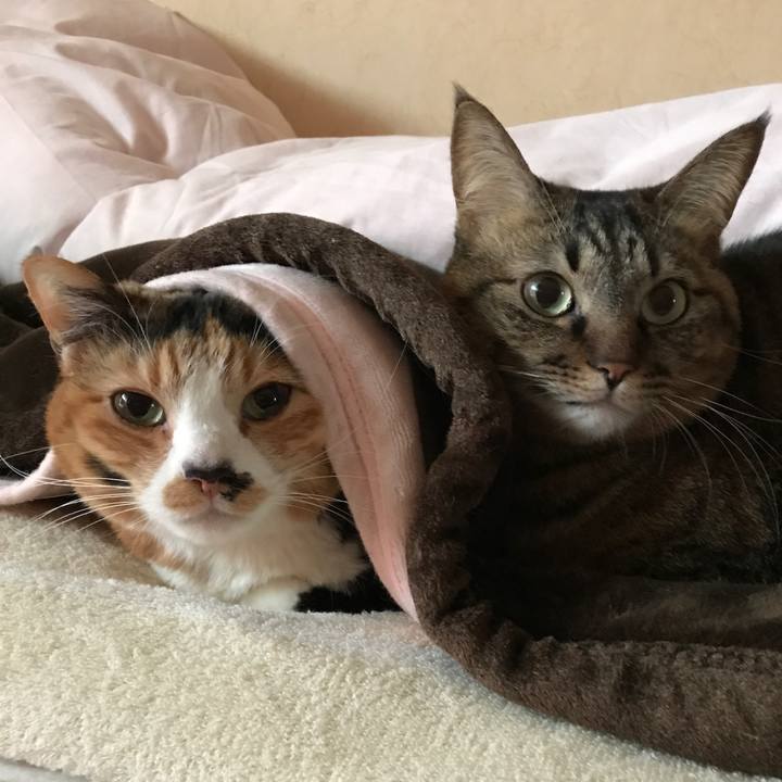 8039f6ab e591 4f15 8e90 5903e5873738 1520256653779