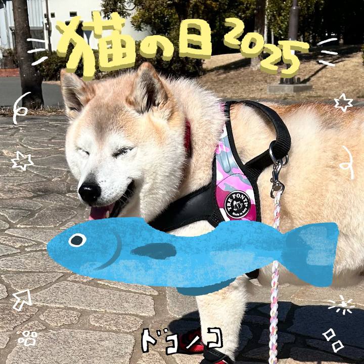 8039fe9b 6e7e 41cc ad88 9caea9619608 1740118040037