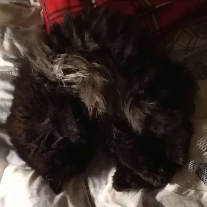 803aa287 ab6b 4ade a701 7cb54bf98300 1538520556237