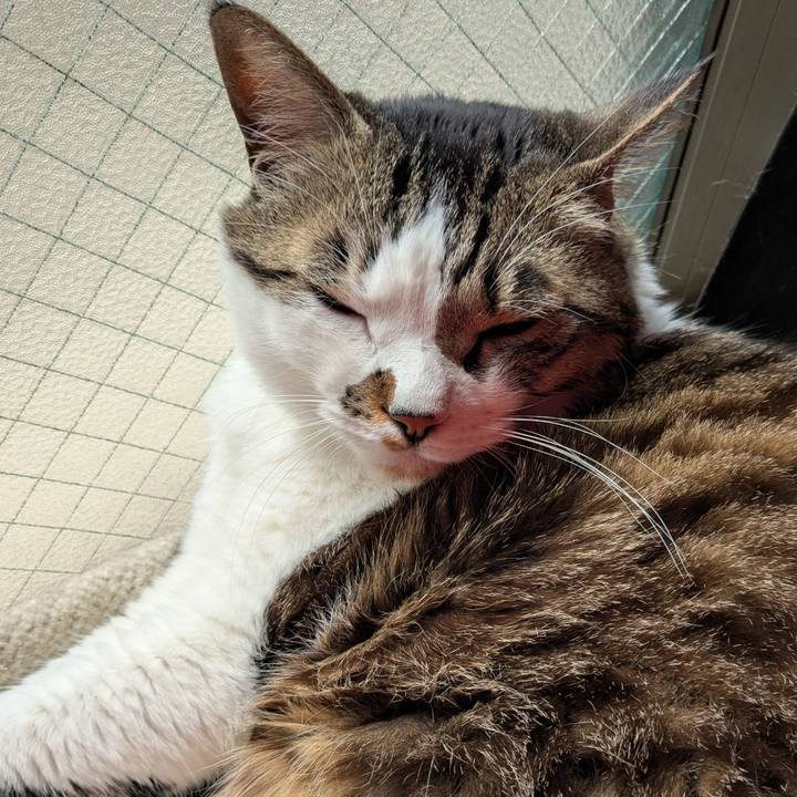 803aa48e d1c1 4c11 991c 62ddf0d40dc1 1742696565615