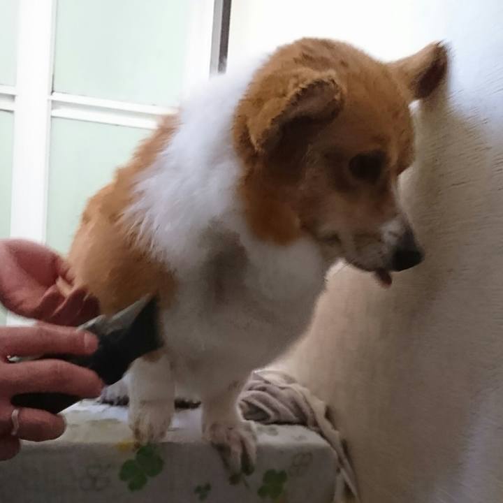 803aae69 6c3d 42f4 949a b7cc78ebbb2c 1546661829610