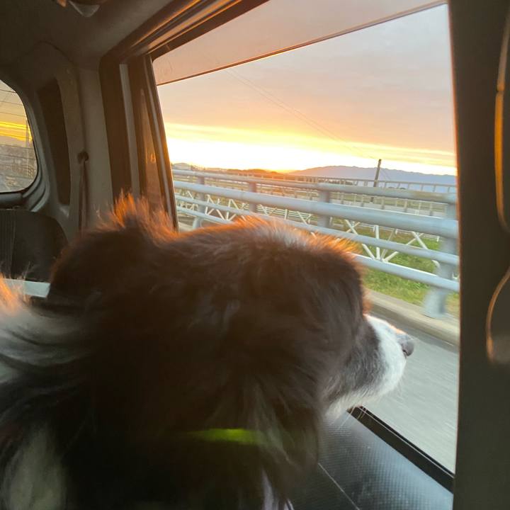 803ab23d 01b0 49aa 9ffa 9a098698d430 1703370406393