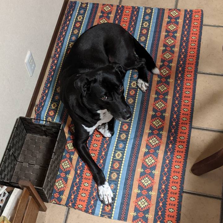 803ab8bb 4247 4267 9eb6 562c57f2bdf6 1631321290439