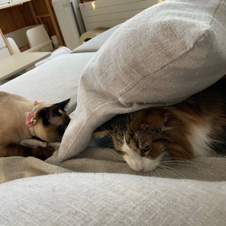 803adefc 8005 4d0c 9373 5a647f1b0992 1714771103054