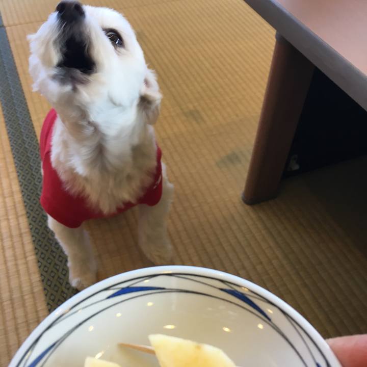 803ae7d4 55a7 4e9a ae3d 3bfe05d6a03e 1516338864831