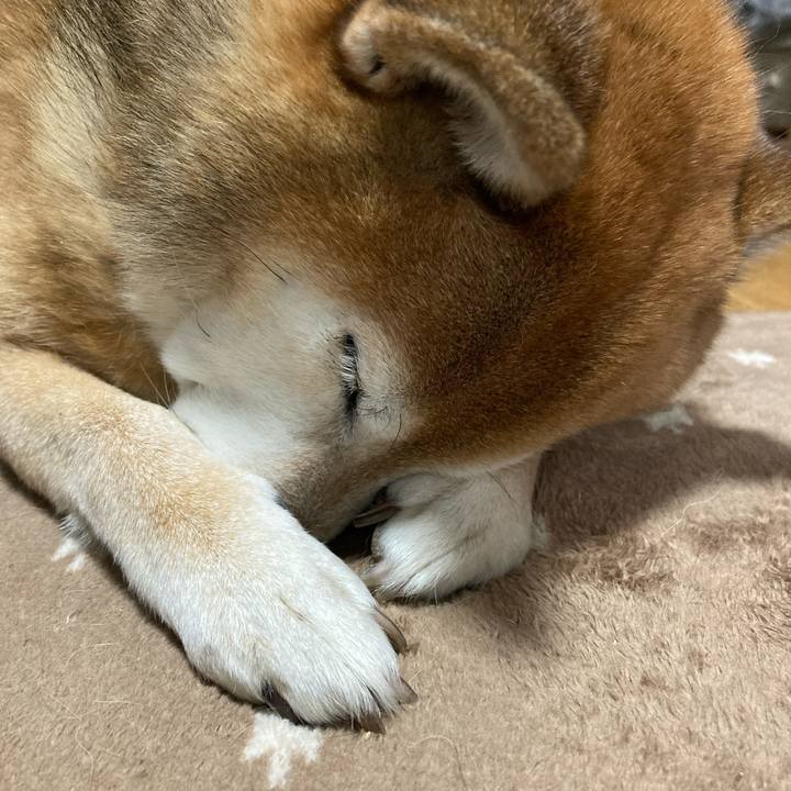 803af0e0 9472 4ac3 9684 0bd7ad5c6559 1730785406030