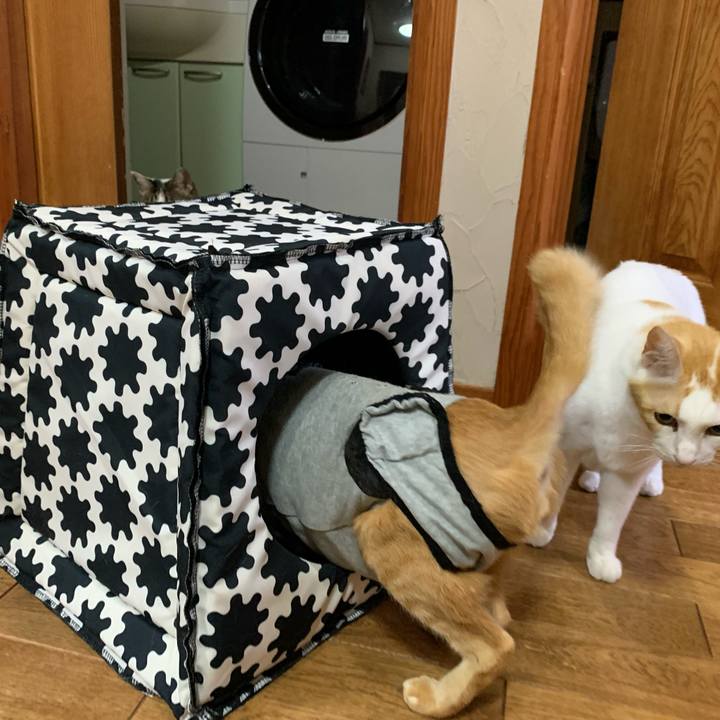 803af85d 8c60 41c2 8a18 58f1ec6c18ab 1637840761883