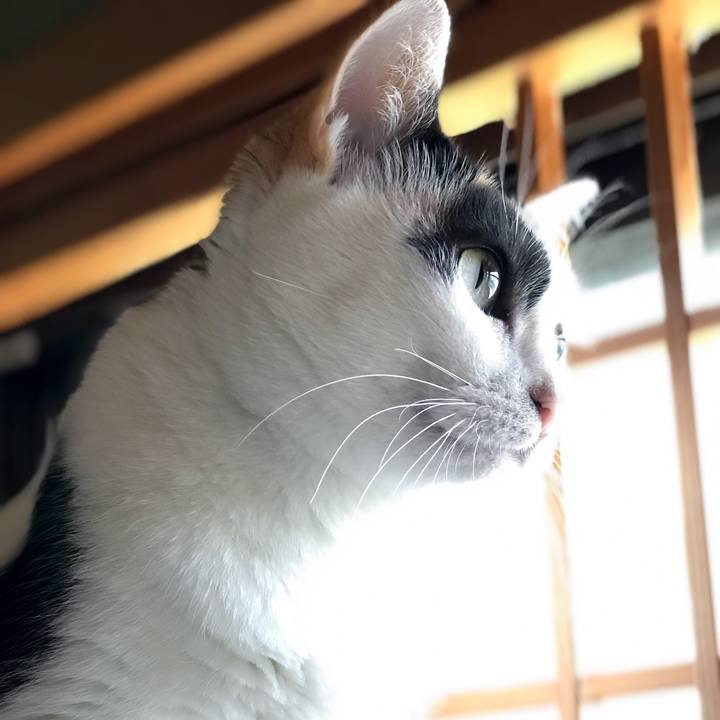 803afa88 f524 4175 b325 c92ce5436862 1534948654786