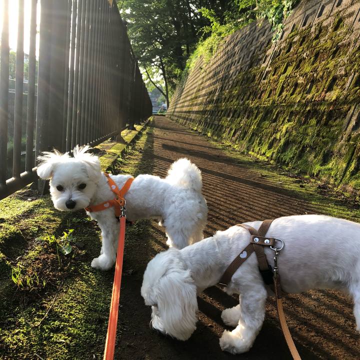 803b711b 1486 42f3 8819 1e02fa05476c 1526427633145