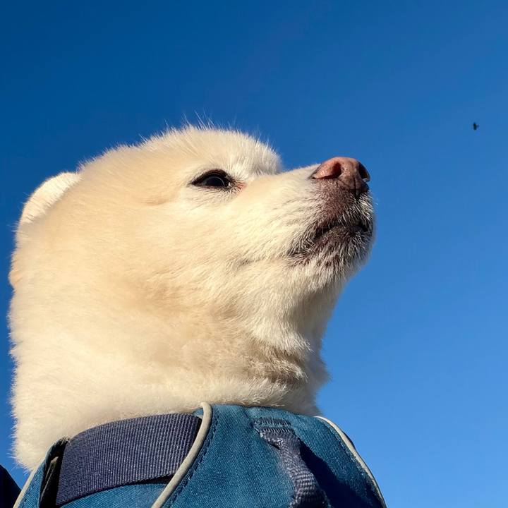 803c1cd0 d0b5 4649 8c27 e8024b789bb2 1762469636886