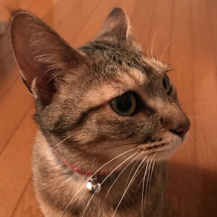 803c222f 85b8 42d1 882a 2d9ef0b1b3bd 1584863975387