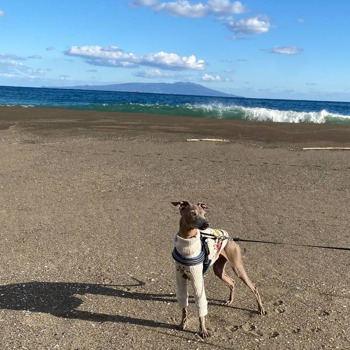 803c74d9 b8bb 462d aec9 af8a87225745 1764826734282