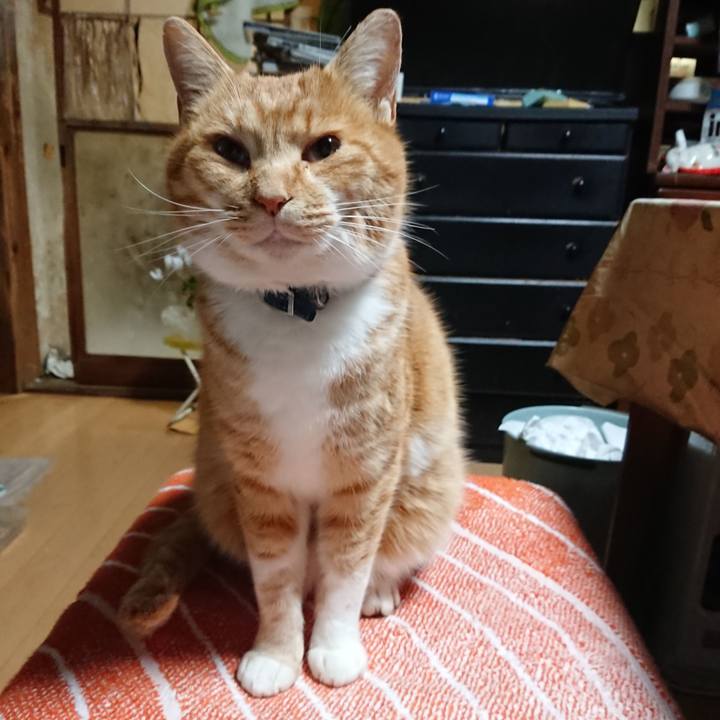 803c911e 44a8 4d20 b94b 3c61f6eb1099 1608581258532